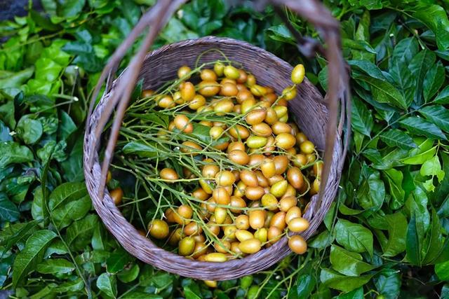 中国12大名酱，哪一款是你心目中的下饭酱王？