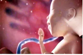 在孕期，胎动频繁的宝宝是不是性格很调皮？性格娘胎里就已经定了图片