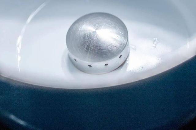 鱼翅和花胶上火吗 2026年鱼翅和花胶上火吗还是下火