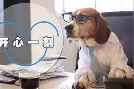 搞笑GIF图片，只有累死的牛…图片