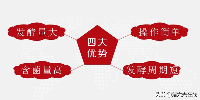 都说发酵饲料养猪好，好在哪？关于发酵饲料这些问题，你需要了解