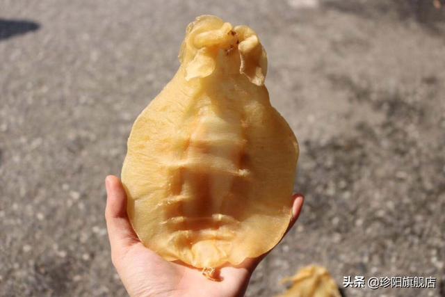 新鲜米鱼胶怎么保存 新鲜米鱼胶怎么保存时间长