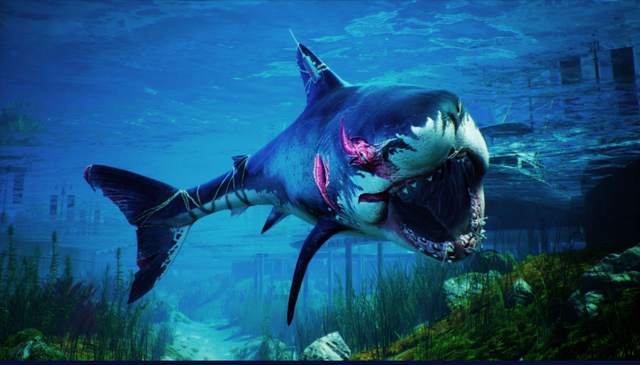 开局一只鲨，进化全靠吞！最新的鲨鱼模拟器让你化身海底扛把子