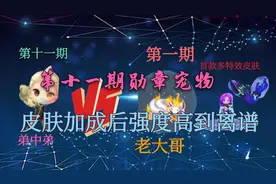 QQ飞车手游：勋章宠物迎来首款皮肤，皮肤加成后道具强度高到离谱图片