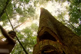 非洲的扎非曼尼里人，祖传木工雕刻艺术，紫檀木建造锅碗瓢盆图片