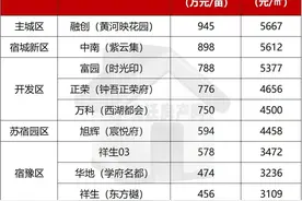 豪横！小高层备案均价13800元/㎡！宿迁豪宅密集上市图片