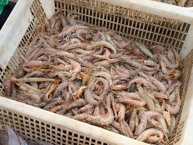 秋天，不管有钱没钱，这6种海鲜要多吃，营养高还便宜，别不懂吃