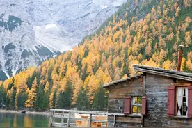 高中生物：必修三超全知识点归纳总结！高三、高二必看图片