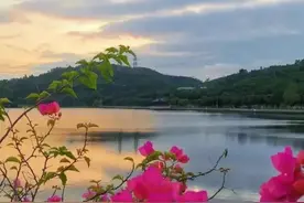 深圳十大免费特色的湖泊公园图片