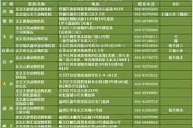 流浪动物公益项目：【猫】天使动保绝育申请表单（小米计划）图片