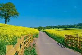 长期两地分居的夫妻，感情会受到影响吗？听听这3位过来人怎么说图片