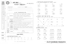 《王朝霞考点实时梳理卷》（语文+数学+英语）1-6年级下册合集图片