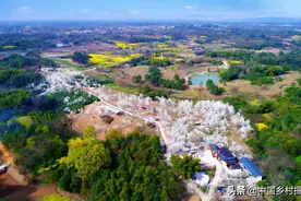 唐昌国家农业大公园：平乐村梨花沟图片