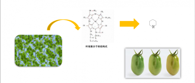 那些你不知道的事——含氨基酸肥料在转色上的应用