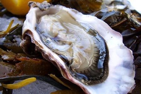 这些补充蛋白质的水产，常吃有益，但吃无妨