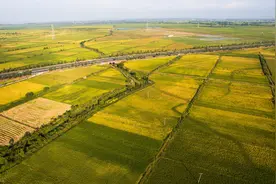 把紧高标准农田建设质量的最后一道关图片