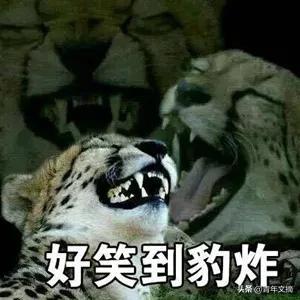 开心一刻｜一个人容易想太多，想太多容易一个人