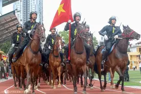 越南骑警差点闹笑话，战马高矮不一，检阅场上险些人仰马翻图片