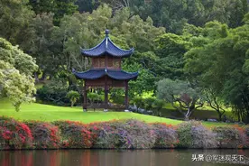在这个不一样的春季，带你深入了解这饱经沧桑的颐和园图片