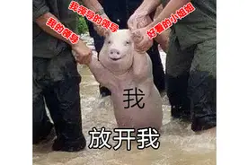 韩国人真会玩！将LOL魔兽做进吃鸡，一上线就登Steam热销榜图片