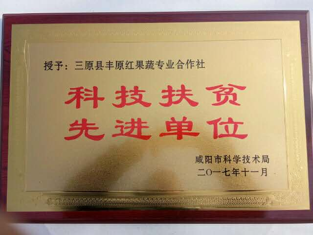 三原丰原红果蔬专业合作社技术部重要通知