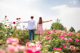 心理学：已婚男人爱上你，真实目的只有一个图片