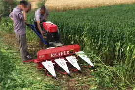 四个适合农村的办厂项目，投资小，干好了比打工强图片