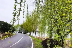 【红色经典诵读·植树节篇】十年树木 百年树人图片