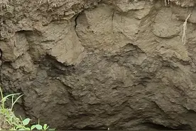 遵义一玉米地里突现巨坑，村民：正在地里干活，突然听到一声巨响图片