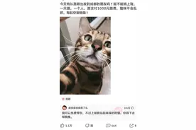 头疼部位分析图图片