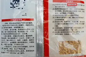 种子包装上的"不得留种"、"非转基因可留种"造成了多大的误会？图片