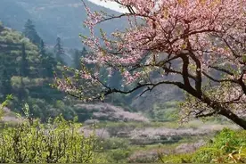 菜校也有春天！这所学校悄悄逆袭，竟然还没溢价？图片