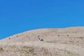 实事求是对待所谓“网络喷子”图片