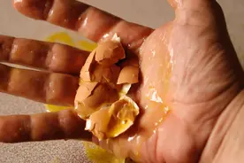 化粪池里到底有什么气体，化粪池里到底有什么危险图片