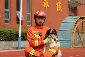 汶川地震中的无言小英雄，一路走好图片