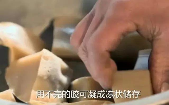 鱼鳔胶的功效和作用 2026年鱼鳔胶的功效和作用及禁忌