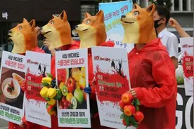 吃狗肉增强抗暑能力？韩国民众戴头套抗议狗肉节并举行“狗葬”图片