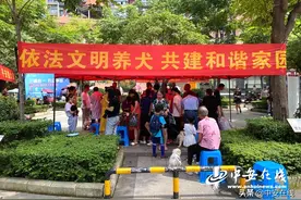 9月1日起，合肥犬主未申领养犬登记证或将面临处罚图片