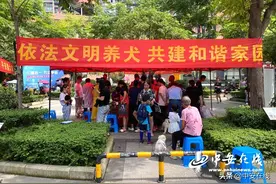 9月1日起，合肥犬主未申领养犬登记证或将面临处罚图片