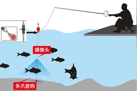 大快人心！可视锚鱼在多地被捕，钓鱼人反馈：干的漂亮图片