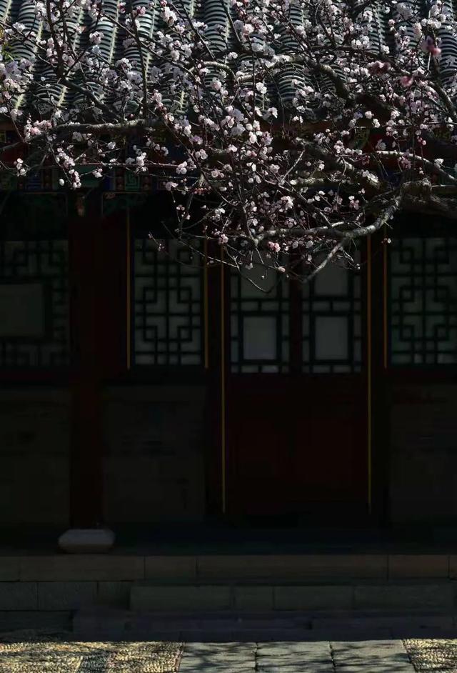 99%的广角都是废片​！为什么？