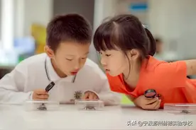 宁波鄞州赫德实验学校2020学年小学部招生简章图片