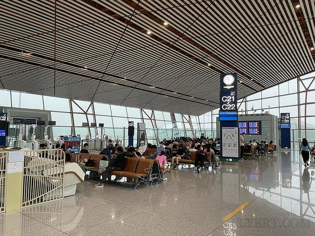 飞机白金卡需要什么条件（为了国航金卡冲刺一波）