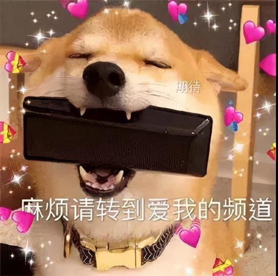活力汇 | 缘来不是汪4.0空间联谊活动成功举办
