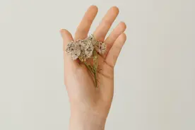 女人说“我要睡了”，其实是这个意思，别误解图片