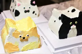 韩国超火的猫咪蛋糕，北京能买到了图片