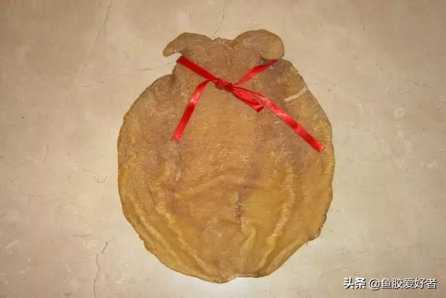 花胶能存放多久 花胶能存放多久不变质