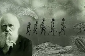 人类为什么执着寻找外星人？除了好奇之外，还有四个原因不容忽视图片