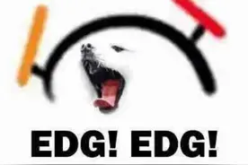 对不起，EDG图片