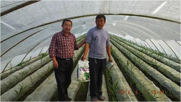 最全的大姜控温管理技术要点在这里，涨知识了！赶快转发收藏！